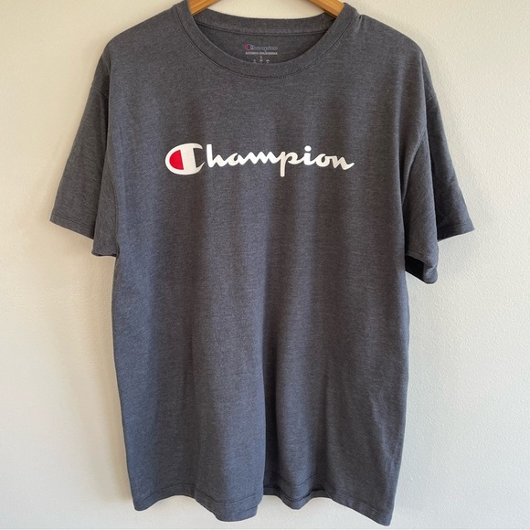 Champion Men's Short Sleeve T-Shirt Dark Gray Size Large - Picture 1 of 8